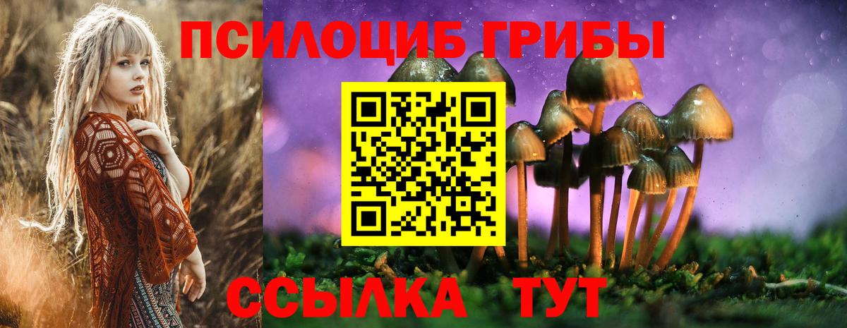 Галлюциногенные грибы MAGIC MUSHROOMS  закладки  Воркута  Вход с VPN 